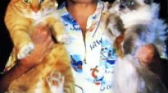 Casual rhapsodia: freddie mercury in njegove mačke